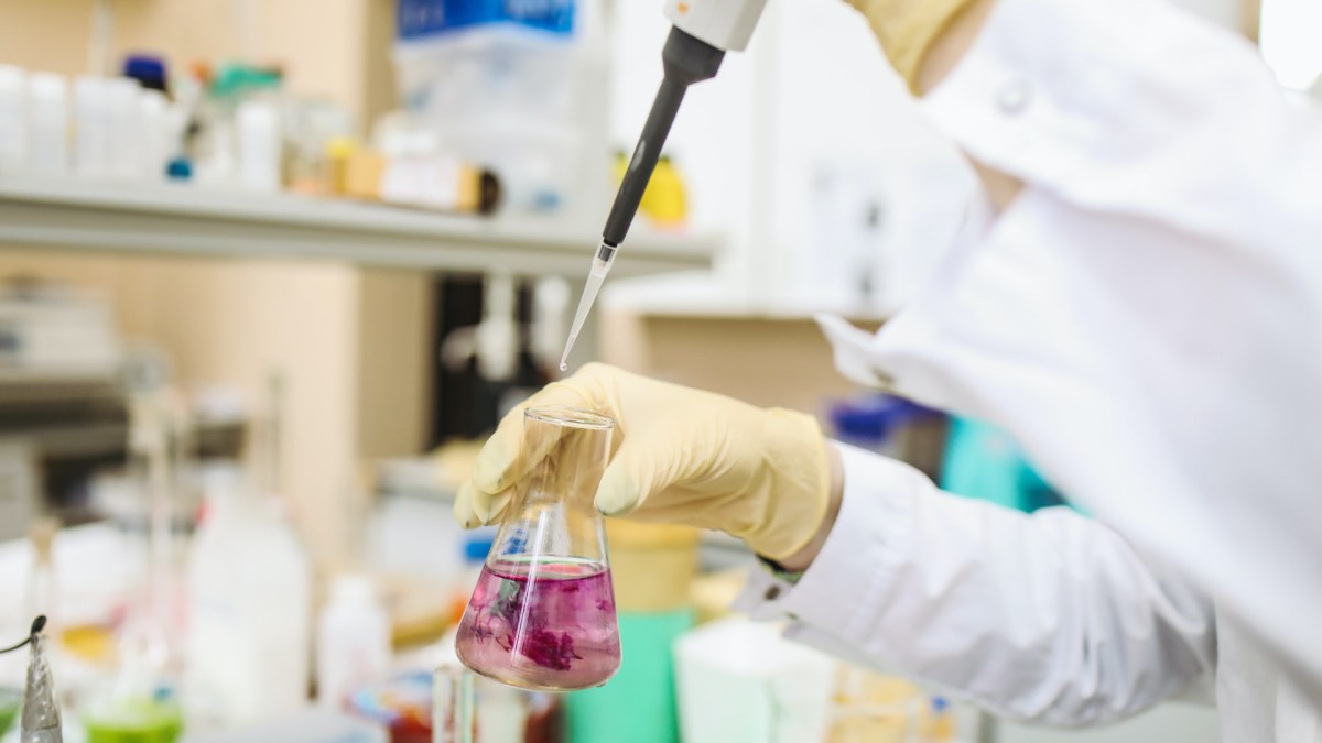 Des tests en laboratoire. // Source : Pexels/Polina Tankilevitch (photo recadrée) Des tests en laboratoire. // Source : Pexels/Polina Tankilevitch (photo recadrée)