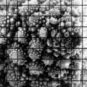 Une des images prises par la caméra du télescope. // Source : Observatoire Vera-C.-Rubin