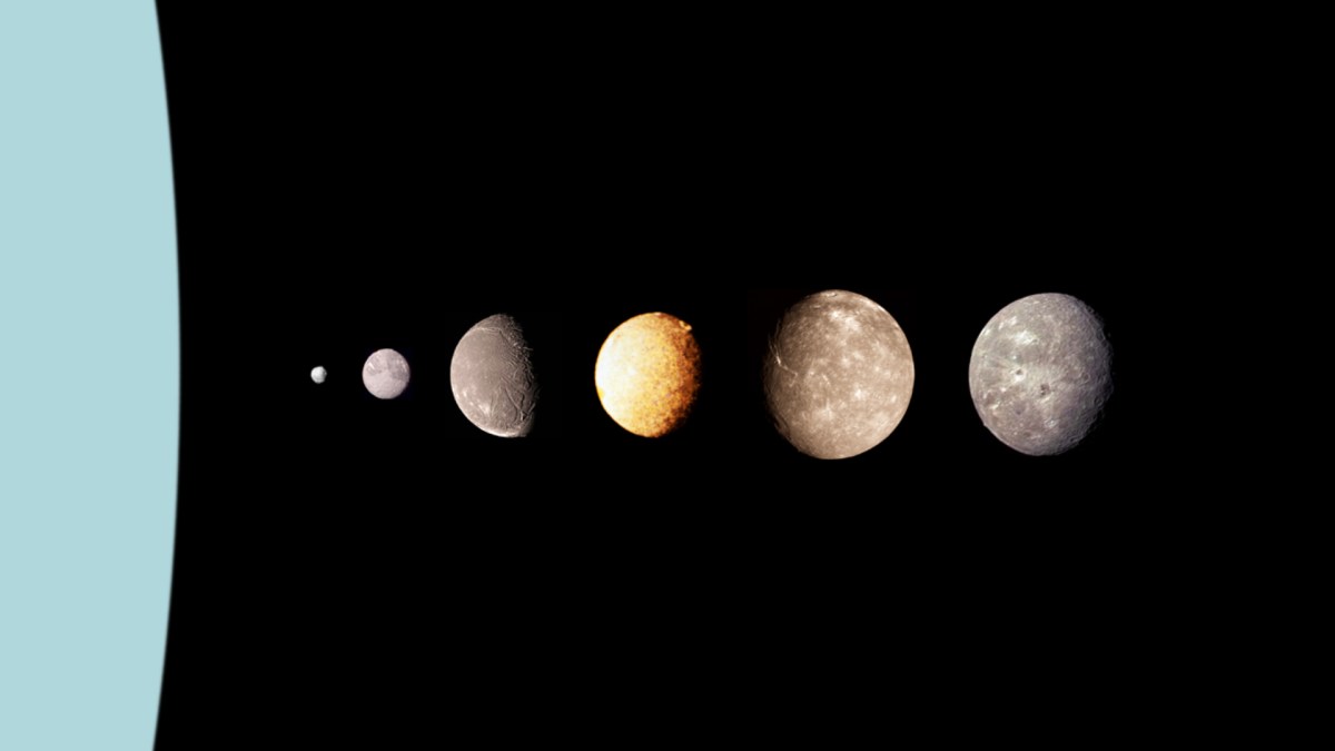 Principales lunes d'Uranus. // Source : Wikimedia/Domaine public Principales lunes d'Uranus. // Source : Wikimedia/Domaine public