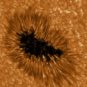 Une tâche solaire observée par le télescope GREGOR. // Source : KIS (photo recadrée) Une tâche solaire observée par le télescope GREGOR. // Source : KIS (photo recadrée)