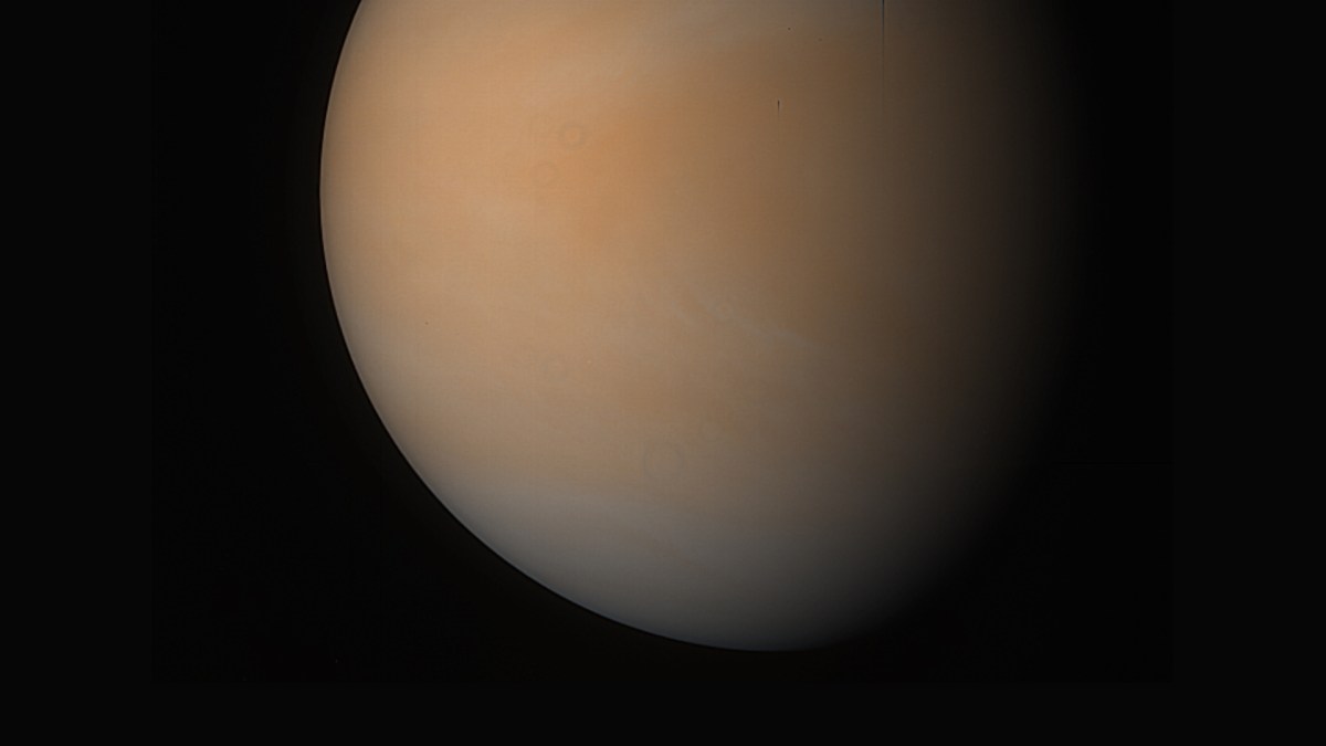 Vénus. // Source : Flickr/CC/Kevin Gill (photo recadrée et modifiée) Vénus. // Source : Flickr/CC/Kevin Gill (photo recadrée et modifiée)