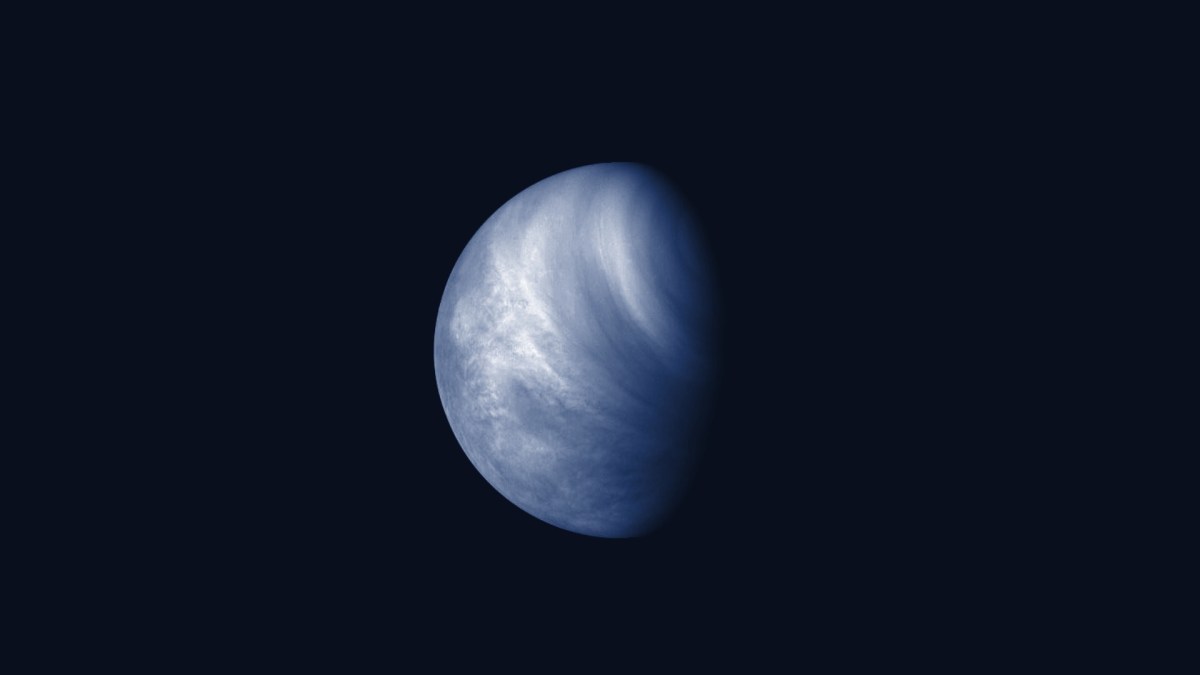 Vénus en ultraviolet et colorée. // Source : Flickr/CC/RidingWithRobots (photo recadrée et modifiée) Vénus en ultraviolet et colorée. // Source : Flickr/CC/RidingWithRobots (photo recadrée et modifiée)