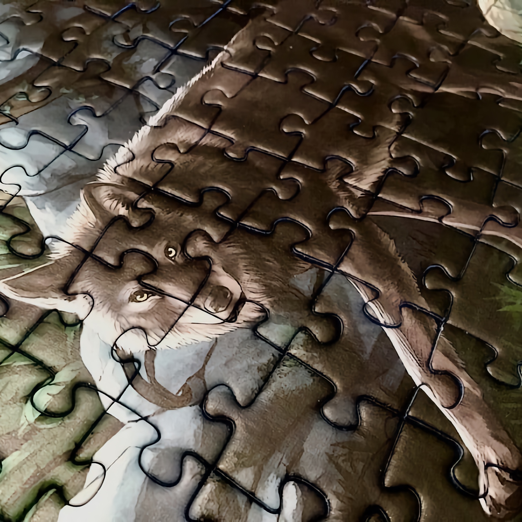 Escape Puzzle Escape Puzzle