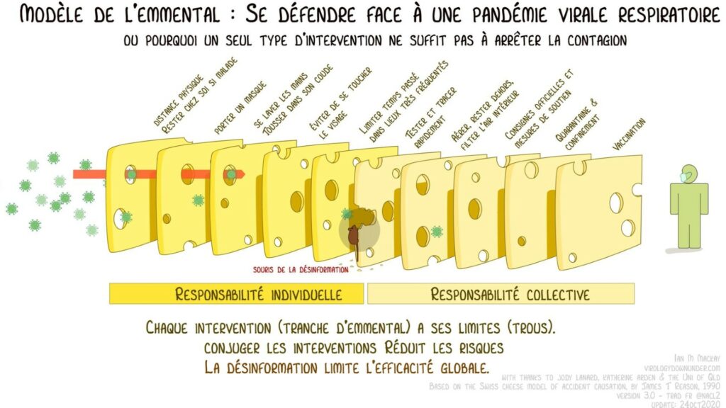 Le modèle de l'emmental adapté à l'épidémie liée au coronavirus SARS-CoV-2. // Source : Ian M. MacKay / Traduction par Nathalie Clot. Le modèle de l'emmental adapté à l'épidémie liée au coronavirus SARS-CoV-2. // Source : Ian M. MacKay / Traduction par Nathalie Clot.