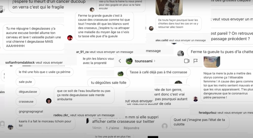 Des insultes reçues par Aline Dessin lors d'un raid numérique // Source : Aline Dessine / Youtube Des insultes reçues par Aline Dessin lors d'un raid numérique // Source : Aline Dessine / Youtube