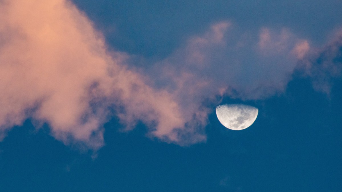 La Lune. // Source : Pexels/Diego F. Parra (photo recadrée) La Lune. // Source : Pexels/Diego F. Parra (photo recadrée)