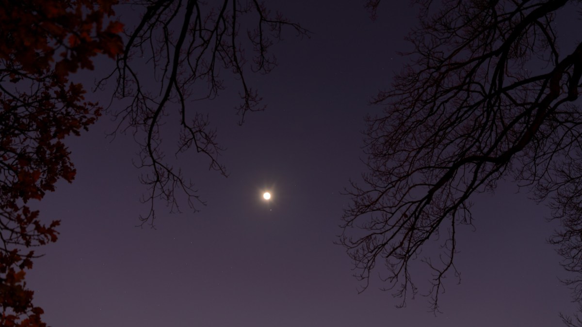 Conjonction entre la Lune, Jupiter et Saturne. // Source : Flickr/CC/Ed Dunens (photo recadrée) Conjonction entre la Lune, Jupiter et Saturne. // Source : Flickr/CC/Ed Dunens (photo recadrée)
