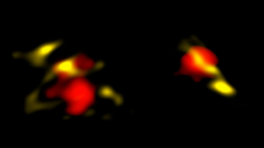 Deux des galaxies observées avec ALMA. La poussière est en jaune et le gaz en rouge. // Source : B. Saxton NRAO/AUI/NSF, ALMA (ESO/NAOJ/NRAO), ALPINE team Deux des galaxies observées avec ALMA. La poussière est en jaune et le gaz en rouge. // Source : B. Saxton NRAO/AUI/NSF, ALMA (ESO/NAOJ/NRAO), ALPINE team