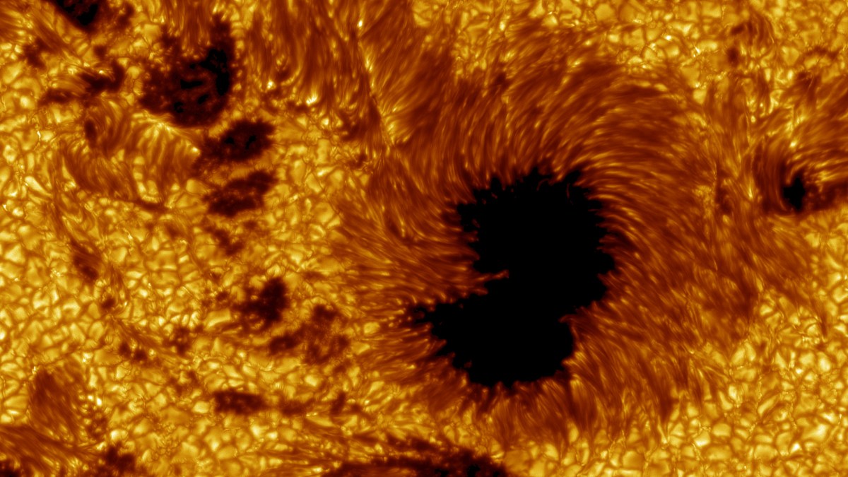 Tâches solaires. // Source : Flickr/CC/Royal Swedish Academy of Sciences (photo recadrée) Tâches solaires. // Source : Flickr/CC/Royal Swedish Academy of Sciences (photo recadrée)