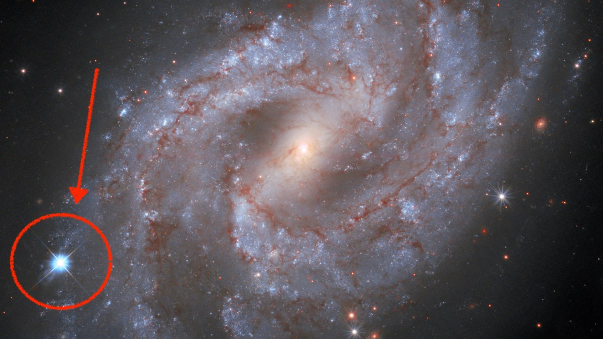 La supernova SN 2018gv. // Source : NASA, ESA, and A. Riess (STScI/JHU) and the SH0ES team; acknowledgment: M. Zamani (ESA/Hubble), annotation Numerama La supernova SN 2018gv. // Source : NASA, ESA, and A. Riess (STScI/JHU) and the SH0ES team; acknowledgment: M. Zamani (ESA/Hubble), annotation Numerama