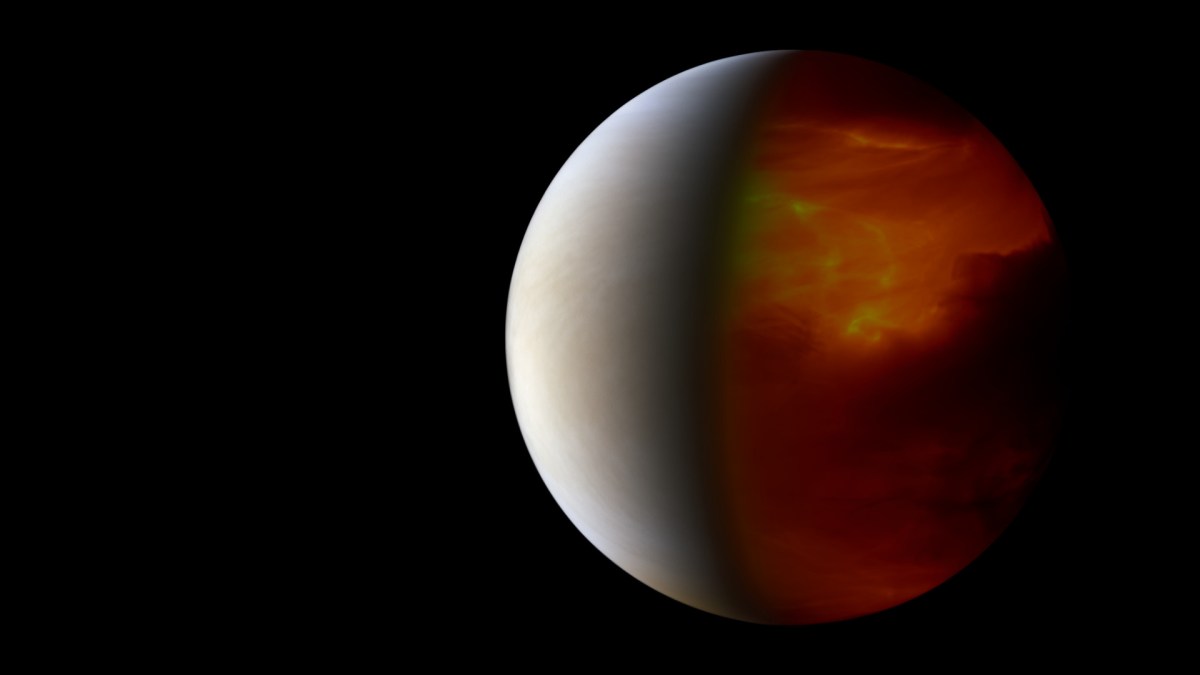 Vénus en 2016. // Source : Flickr/CC/Justin Cowart (photo modifiée) Vénus en 2016. // Source : Flickr/CC/Justin Cowart (photo modifiée)