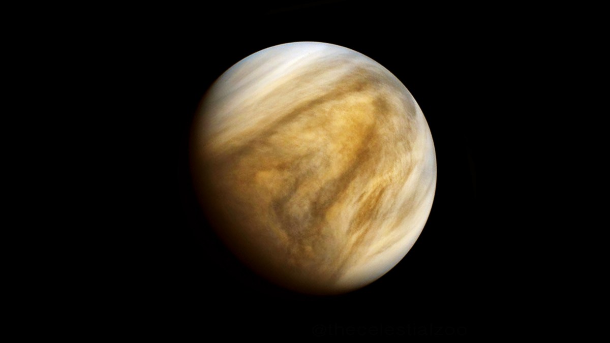 Vénus. // Source : Wikimedia/CC/Pablo Carlos Budassi (image recadrée et modifiée) Vénus. // Source : Wikimedia/CC/Pablo Carlos Budassi (image recadrée et modifiée)