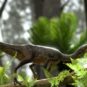 Le dinosaure Buriolestes schultzi. // Source : Márcio L. Castro Le dinosaure Buriolestes schultzi. // Source : Márcio L. Castro