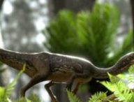 Le dinosaure Buriolestes schultzi. // Source : Márcio L. Castro
