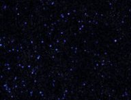 Ciel étoilé. // Source : Pxhere/CC0 Domaine public
