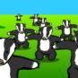 Flash Badger Flash Badger