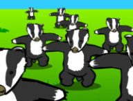 Flash Badger