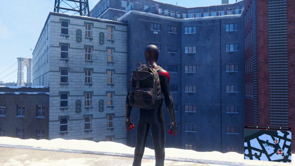 Le chat Vector dans Marvel's Spider-Man: Miles Morales // Source : Capture d'écran PS5 Le chat Vector dans Marvel's Spider-Man: Miles Morales // Source : Capture d'écran PS5