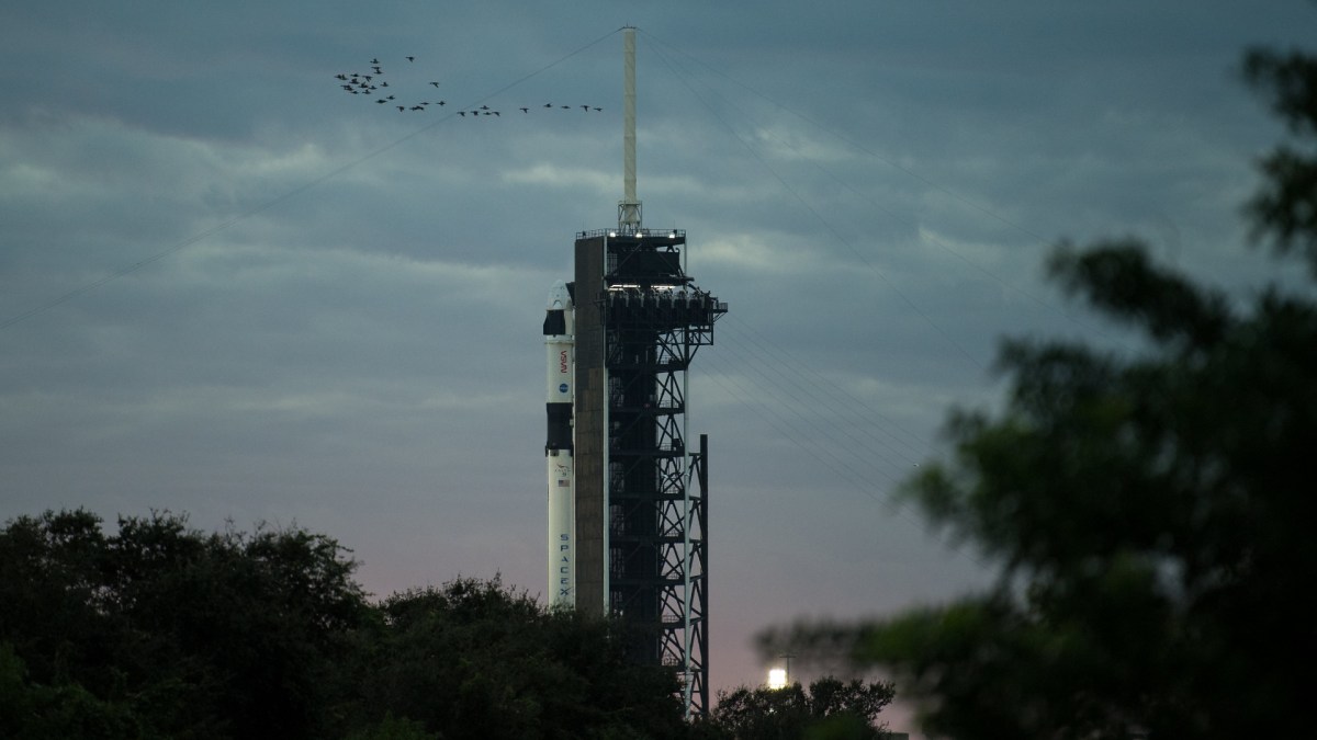 Crew-1. // Source : Flickr/CC/Nasa HQ Photo Crew-1. // Source : Flickr/CC/Nasa HQ Photo