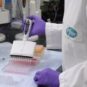 Le candidat vaccin de Pfizer est en phase 3 et tire des résultats prometteurs. // Source : Pfizer Le candidat vaccin de Pfizer est en phase 3 et tire des résultats prometteurs. // Source : Pfizer