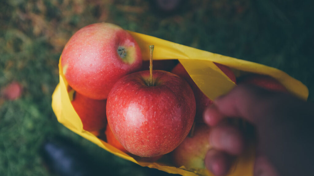 pomme mcintosh pomme mcintosh