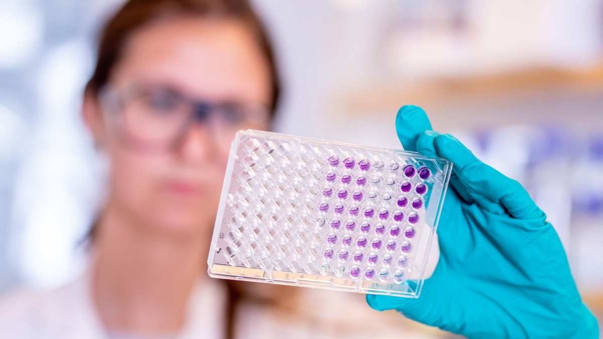 Scientifique travaillant sur un vaccin contre le coronavirus. // Source : AstraZeneca Scientifique travaillant sur un vaccin contre le coronavirus. // Source : AstraZeneca