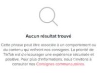 TikTok bannit des hashtags complotistes. // Source : Copie d'écran