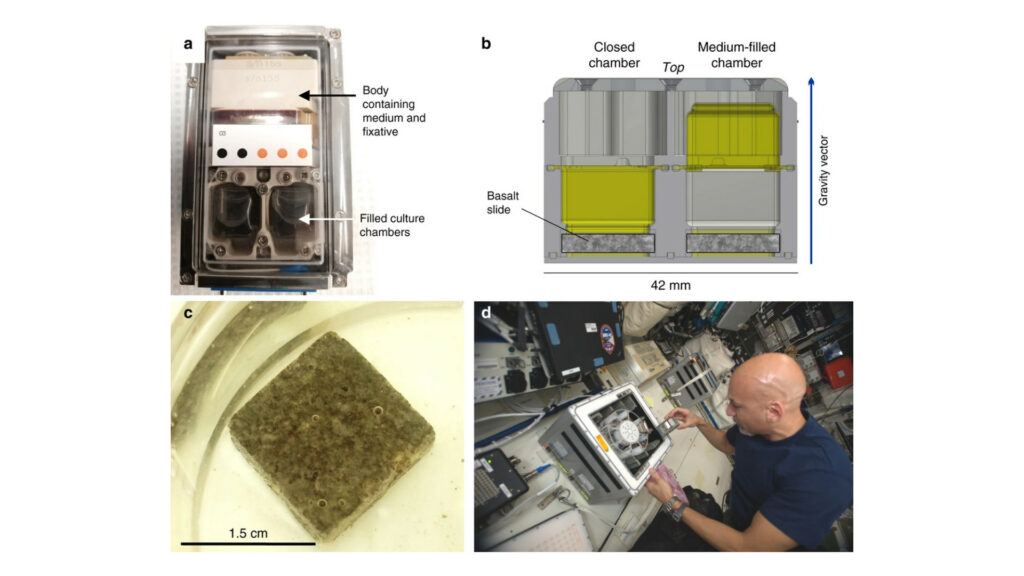 BioRock manipulé par Luka Parmitano. // Source : Nature Communications