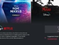 canal-serie-limitee-disney-netflix 1