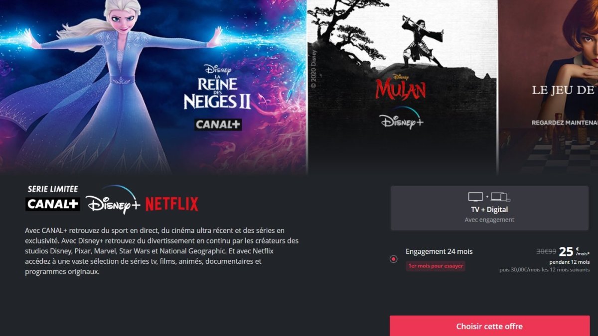 canal-serie-limitee-disney-netflix 1 canal-serie-limitee-disney-netflix 1