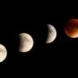 Éclipse de Lune. // Source : Flickr/CC/liz west (photo recadrée) Éclipse de Lune. // Source : Flickr/CC/liz west (photo recadrée)