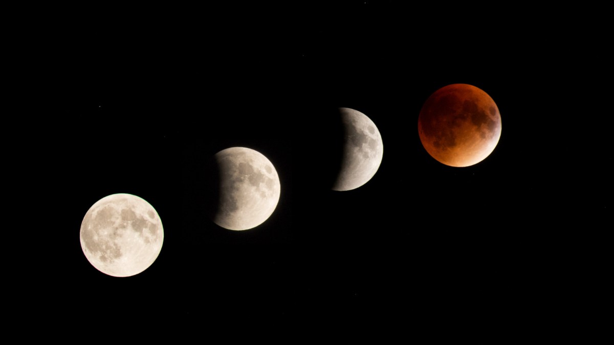 Éclipse de Lune. // Source : Flickr/CC/liz west (photo recadrée) Éclipse de Lune. // Source : Flickr/CC/liz west (photo recadrée)