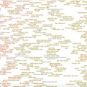 Un extrait de la carte d'Everynoise // Source : Everynoise / Glenn McDonald Un extrait de la carte d'Everynoise // Source : Everynoise / Glenn McDonald