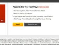 Flash Player // Source : Adobe