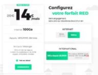 forfait red 100 Go BF