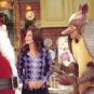 L'armadillo de Noël dans Friends // Source : NBC/Netflix L'armadillo de Noël dans Friends // Source : NBC/Netflix