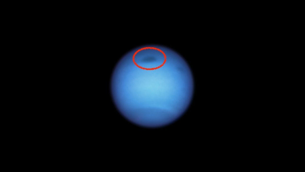 Neptune vue par Hubble. // Source : NASA, ESA, STScI, M.H. Wong (University of California, Berkeley), and L.A. Sromovsky and P.M. Fry (University of Wisconsin-Madison), annotation Numerama Neptune vue par Hubble. // Source : NASA, ESA, STScI, M.H. Wong (University of California, Berkeley), and L.A. Sromovsky and P.M. Fry (University of Wisconsin-Madison), annotation Numerama