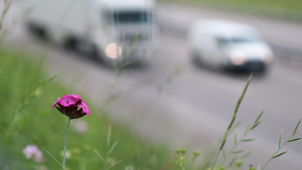 D'après cette étude, la biomasse naturelle est sur le point d'être dépassée par la biomasse anthropique (d'origine humaine, c'est-à-dire les voitures, routes, immeubles, bouteilles plastiques etc.). // Source : Pixabay D'après cette étude, la biomasse naturelle est sur le point d'être dépassée par la biomasse anthropique (d'origine humaine, c'est-à-dire les voitures, routes, immeubles, bouteilles plastiques etc.). // Source : Pixabay