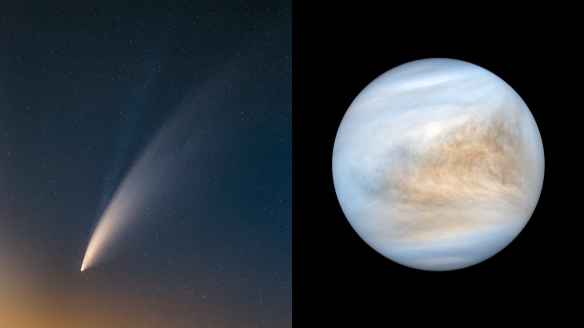 À gauche, C/2020 F3 (NEOWISE). À droite, Vénus. // Source : Flickr/CC/MotloAstro & Flickr/CC/Kevin Gill, images recadrée et montage Numerama À gauche, C/2020 F3 (NEOWISE). À droite, Vénus. // Source : Flickr/CC/MotloAstro & Flickr/CC/Kevin Gill, images recadrée et montage Numerama
