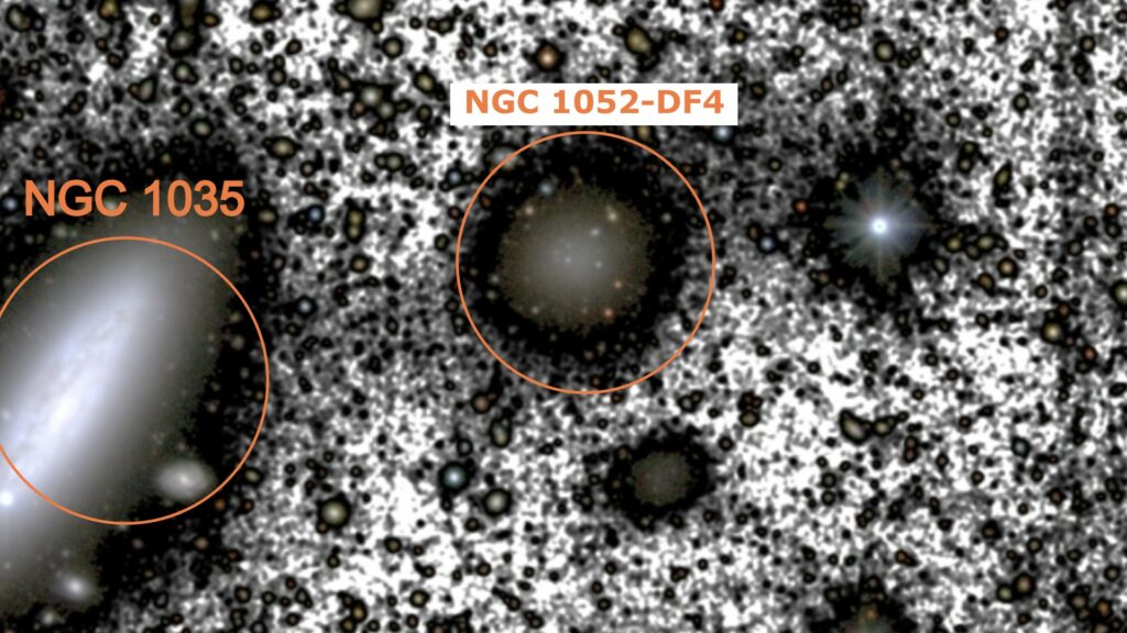 La galaxie cannibalisée (DF4, à droite), et la galaxie massive qui la siphonne (1035, à gauche). On voit que la galaxie cannibalisée (DF4) est plus faible en luminosité. // Source : Montes & al., The Astrophysical Journal ; précisions Numerama La galaxie cannibalisée (DF4, à droite), et la galaxie massive qui la siphonne (1035, à gauche). On voit que la galaxie cannibalisée (DF4) est plus faible en luminosité. // Source : Montes & al., The Astrophysical Journal ; précisions Numerama