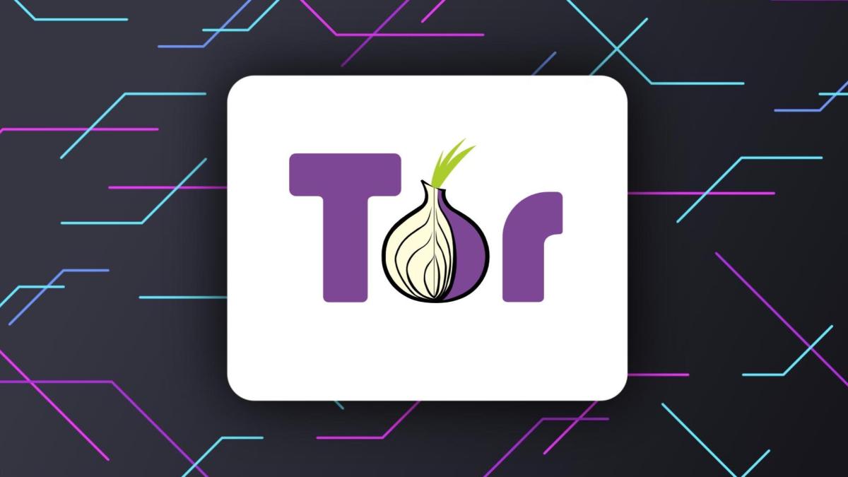 Le réseau Tor continue d'attiser les débats. // Source : Tor Le réseau Tor continue d'attiser les débats. // Source : Tor