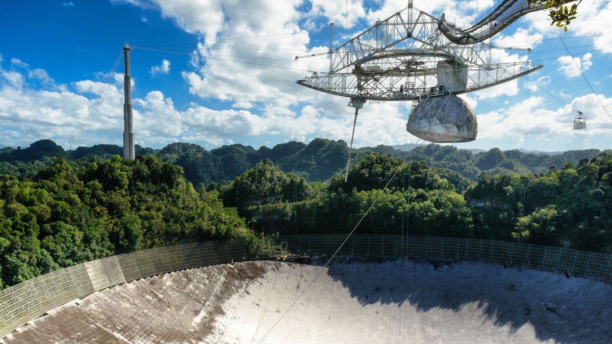 Arecibo // Source : sharkhats Arecibo // Source : sharkhats