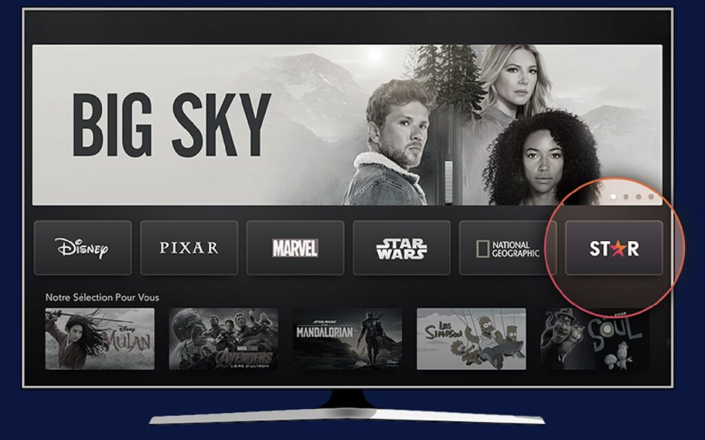 La section Star sur Disney+ La section Star sur Disney+