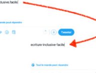 Exemple d'utilisation de l'extension sur Twitter. // Source : Capture d'écran Twitter, montage Numerama