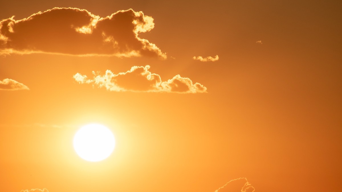 Sunspot serait le premier maillon de la chaîne d'attaque contre SolarWinds. // Source : CCO/Colin Behrens de Pixabay Sunspot serait le premier maillon de la chaîne d'attaque contre SolarWinds. // Source : CCO/Colin Behrens de Pixabay
