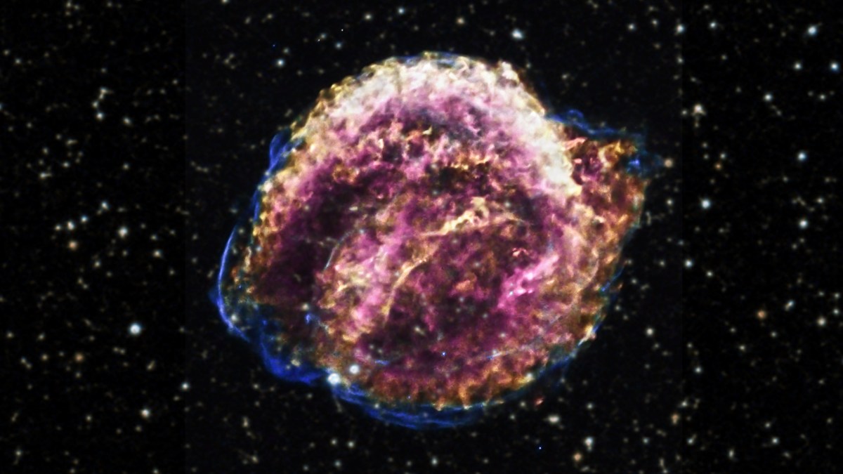 Représentation de la supernova de Kepler. // Source : Flickr/CC/NASA's Marshall Space Flight Center (photo recadrée) Représentation de la supernova de Kepler. // Source : Flickr/CC/NASA's Marshall Space Flight Center (photo recadrée)