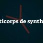 Les anticorps monoclonaux sont des anticorps de synthèse. // Source : Louise Audry/Numerama Les anticorps monoclonaux sont des anticorps de synthèse. // Source : Louise Audry/Numerama