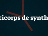 Les anticorps monoclonaux sont des anticorps de synthèse. // Source : Louise Audry/Numerama