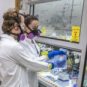 Une partie des scientifiques ayant mesuré l'einsteinium. // Source : Berkeley Une partie des scientifiques ayant mesuré l'einsteinium. // Source : Berkeley
