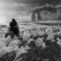 Ghost of Tsushima // Source : Capture PS5 Ghost of Tsushima // Source : Capture PS5